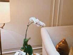 -广州富力丽思卡尔顿酒店