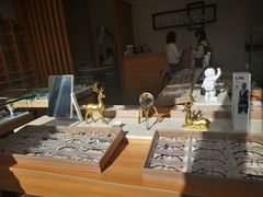 -无界眼镜MaxLess(滨江星光大道店)