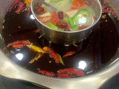 -金鼎雪山牦牛杂火锅(理县总店)