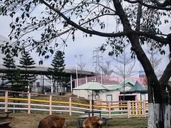 -盈香心动乐园