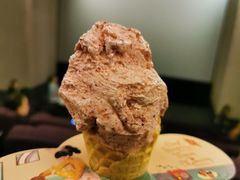 -野人先生现做冰淇淋(北京环宇荟店)