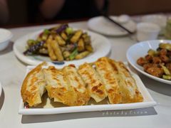 茴香肉锅贴-春水锅贴·传统鲁菜(大明湖店)