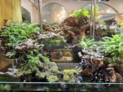 -双季花艺园艺市场(浦东店)