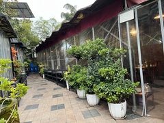 -先机泉水鸡汤(南山老君洞店)