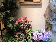 -越美小馆·越南料理(曲江店)
