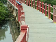 -北海金海湾红树林生态旅游区