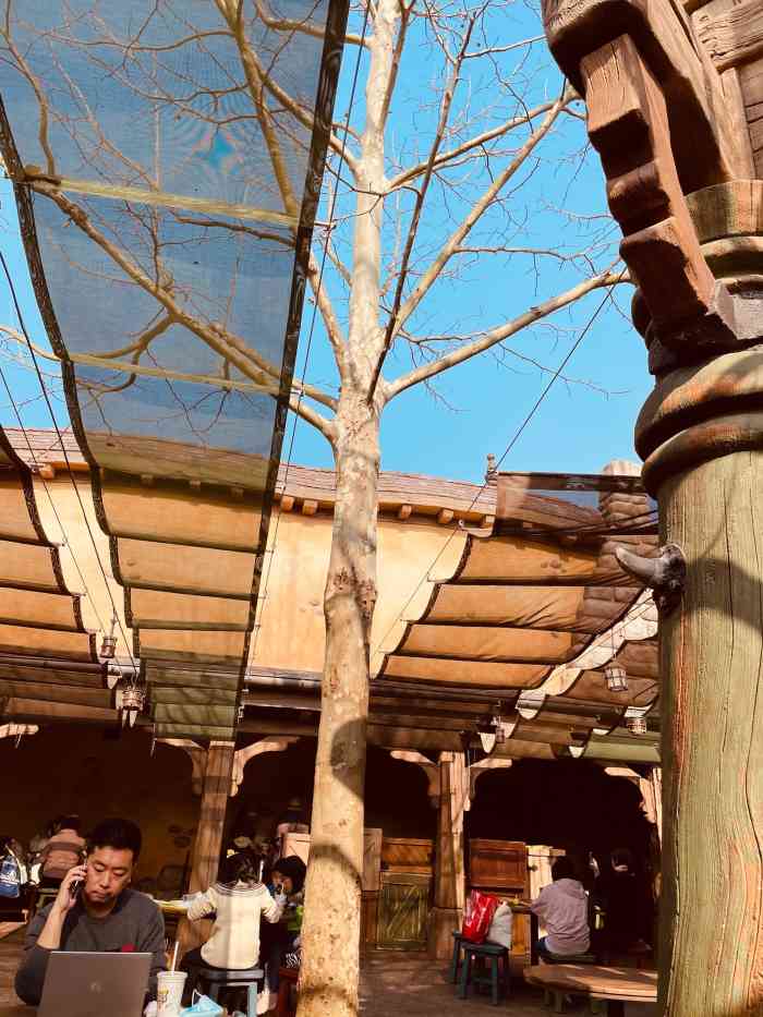 tangled tree tavern 老藤树食栈-"这家没有空调!