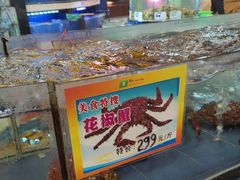-五月花海鲜城