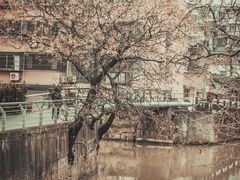 -川沙古镇-停车场