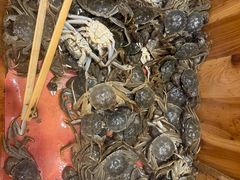 -初色海鲜自助(万丰路店)