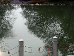 -句容茅山景区