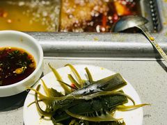 翡翠海藻-海底捞火锅(凯德广场店)