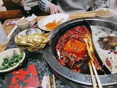 -蜀大侠火锅(总府路店)