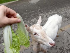 -秦皇岛野生动物园