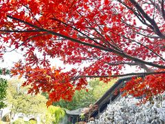 -口岸雕花楼