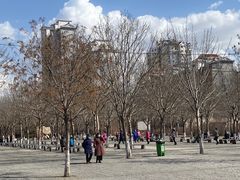 -护国法轮寺