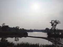 -白鹭湾湿地公园