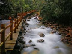 -九龙江国家森林公园