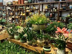 -双季花艺园艺市场(浦东店)