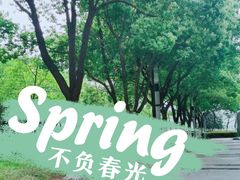 -天鹅湖体育公园