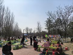 -汉长安城未央宫国家考古遗址公园