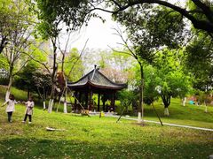 -堤角公园