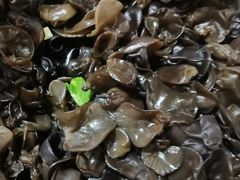 -泰顺江南春面馆