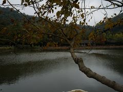 -八卦田遗址公园