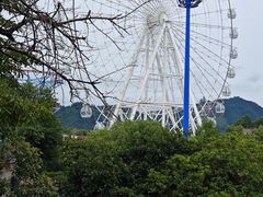 -横店影视城梦幻谷园区