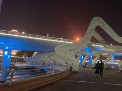 -演武大桥观景平台