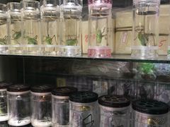 -万商花鸟市场