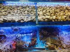 -四囍码头海鲜烧烤自助火锅(外滩南京东路悦荟广场店)