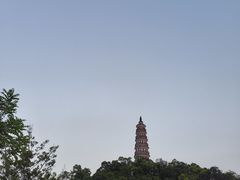 -顺峰山公园