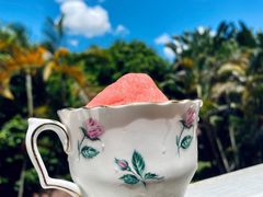 西瓜瑪格麗特-歎雪糕低糖低脂Gelato冰淇淋