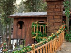 -南京银杏湖乐园