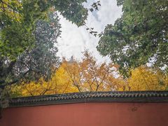 -唐城墙遗址公园