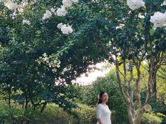 -杭州城北体育公园