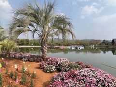 -月亮湾湿地公园