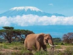 -乞力马扎罗山