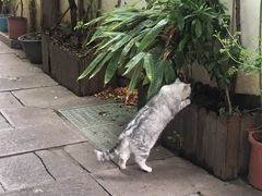-鲜之醇(九州昌硕广场店)