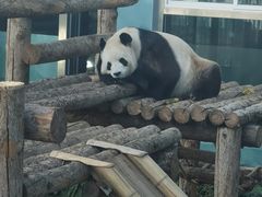 -大连森林动物园