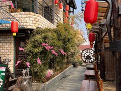 -慢丽江·云南野生菌土鸡锅(付家庄店)