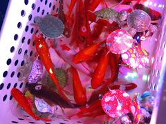 -嘉文梦想世界(SM天津滨海城市广场店)