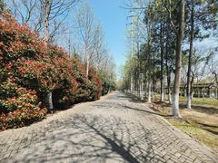 -上海海湾国家森林公园