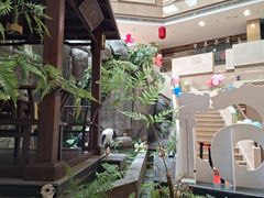 -聚春园自助餐厅(东街口店)