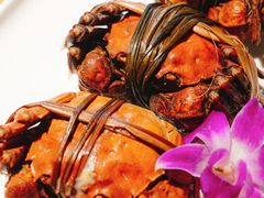 -同福龙虾(高新店)