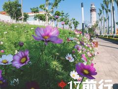 -五通灯塔公园