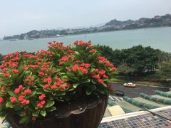 -鹭江宾馆·观海餐厅