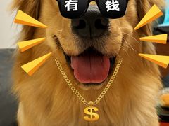 -百好乐宠物友好餐厅(朝外大街店)