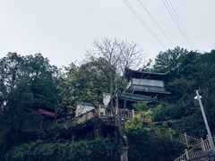 -巴倒烫陆派火锅山庄(南山总店)